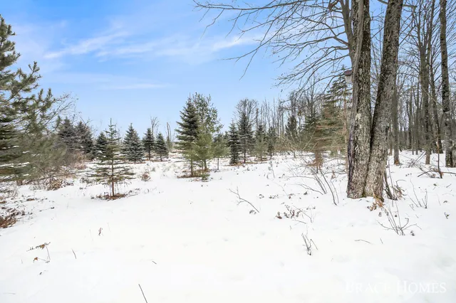 $30,000 | 6135 Fawn Lake Drive, Stanwood, MI 49346