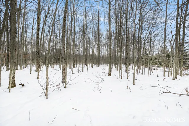 $30,000 | 6135 Fawn Lake Drive, Stanwood, MI 49346