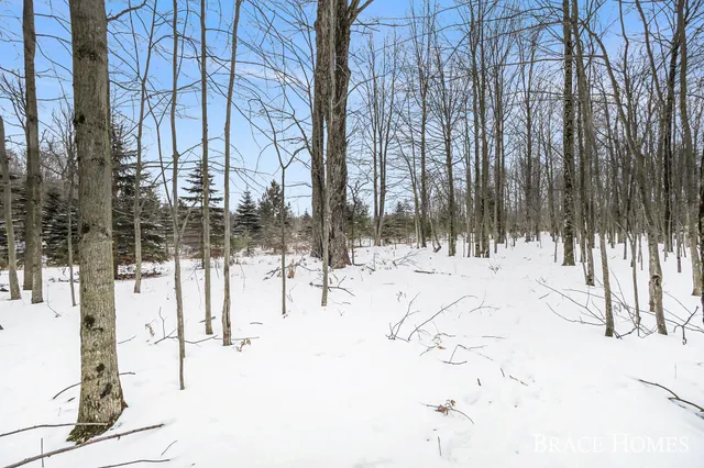 $30,000 | 6135 Fawn Lake Drive, Stanwood, MI 49346