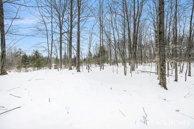 $30,000 | 6135 Fawn Lake Drive, Stanwood, MI 49346