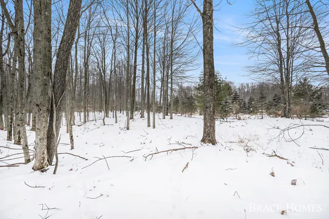 $30,000 | 6135 Fawn Lake Drive, Stanwood, MI 49346