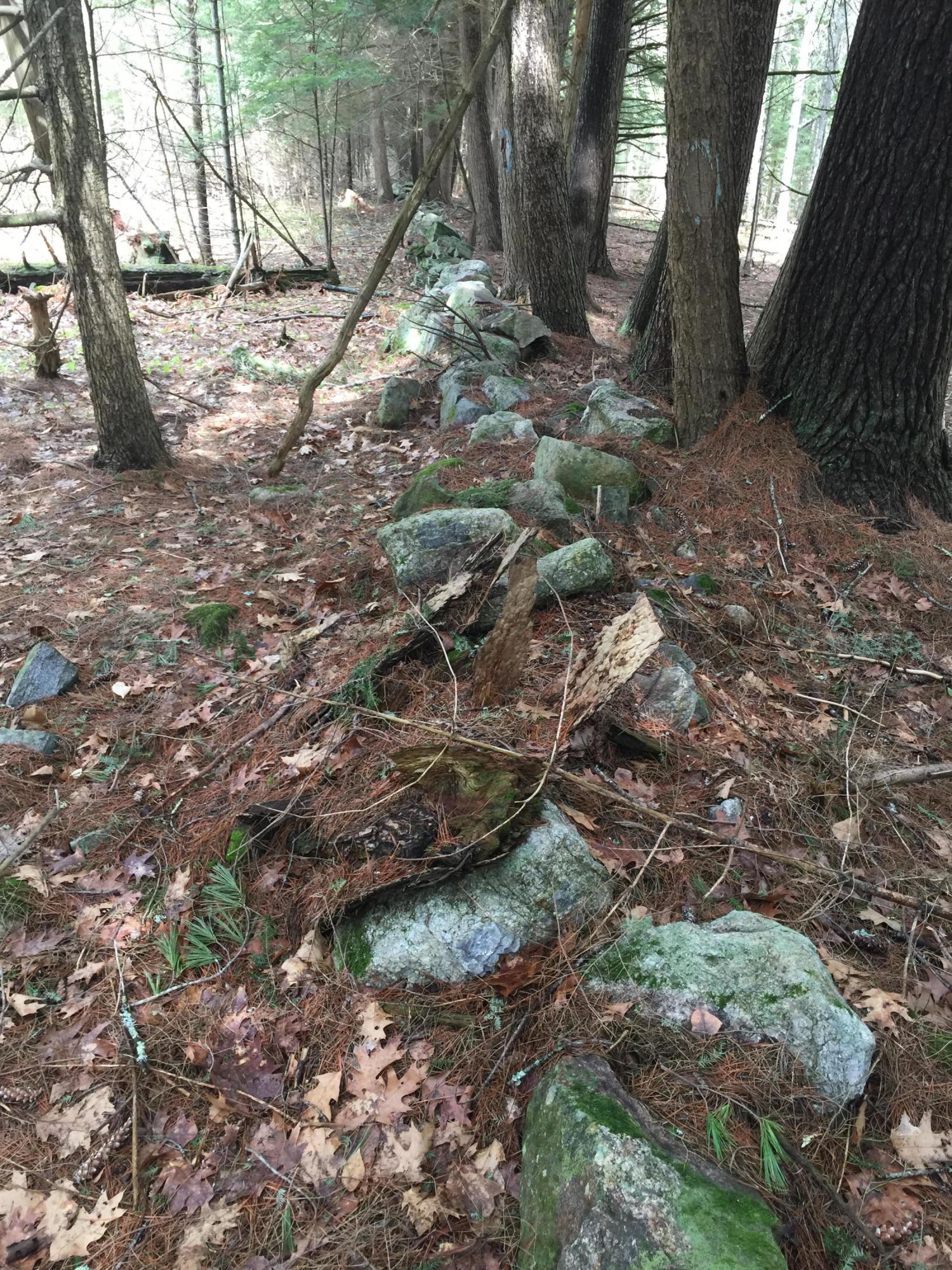 1 Clarks Point Road Wiscasset, ME 04578 - Photo 24 of 32 IMG_1119