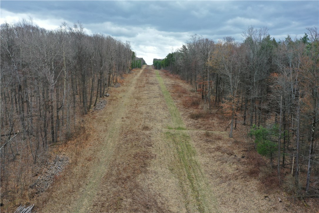 Cr-27 Reading, NY 14878 - Photo 4 of 10