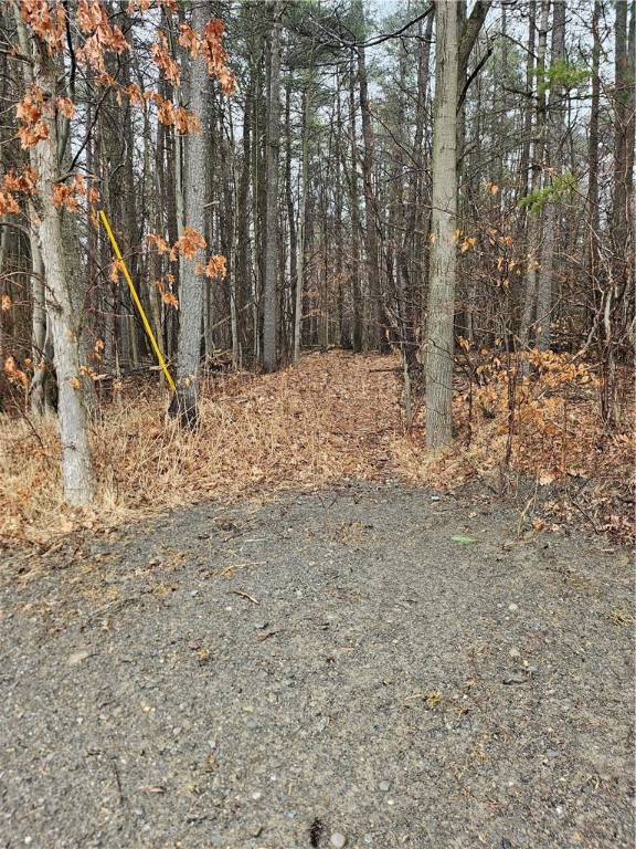 Cr-27 Reading, NY 14878 - Photo 7 of 10