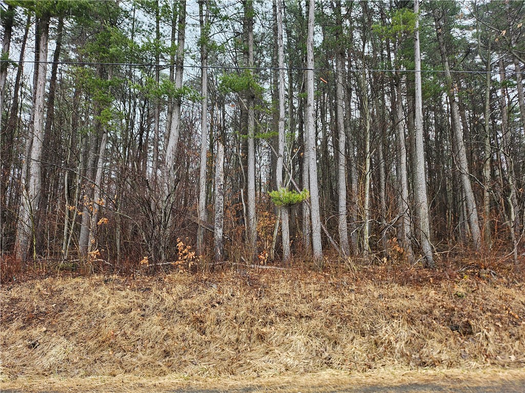 Cr-27 Reading, NY 14878 - Photo 10 of 10