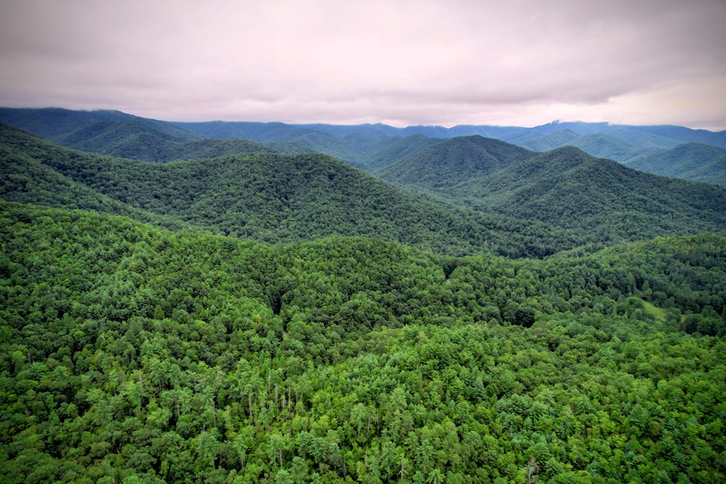 0 Flea Mountain Road Murphy, NC 28906 - Photo 39 of 54