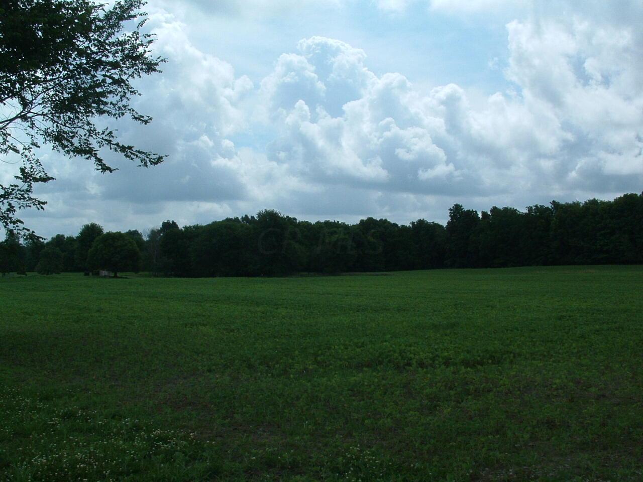9311 Jug St Road Northwest Pataskala, OH 43062 - Photo 18 of 83 DSCF0002
