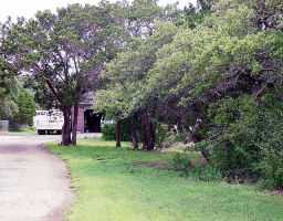 5506 Westview Road Austin, TX 78749 - Photo 1 of 1 a view of a yard with large trees