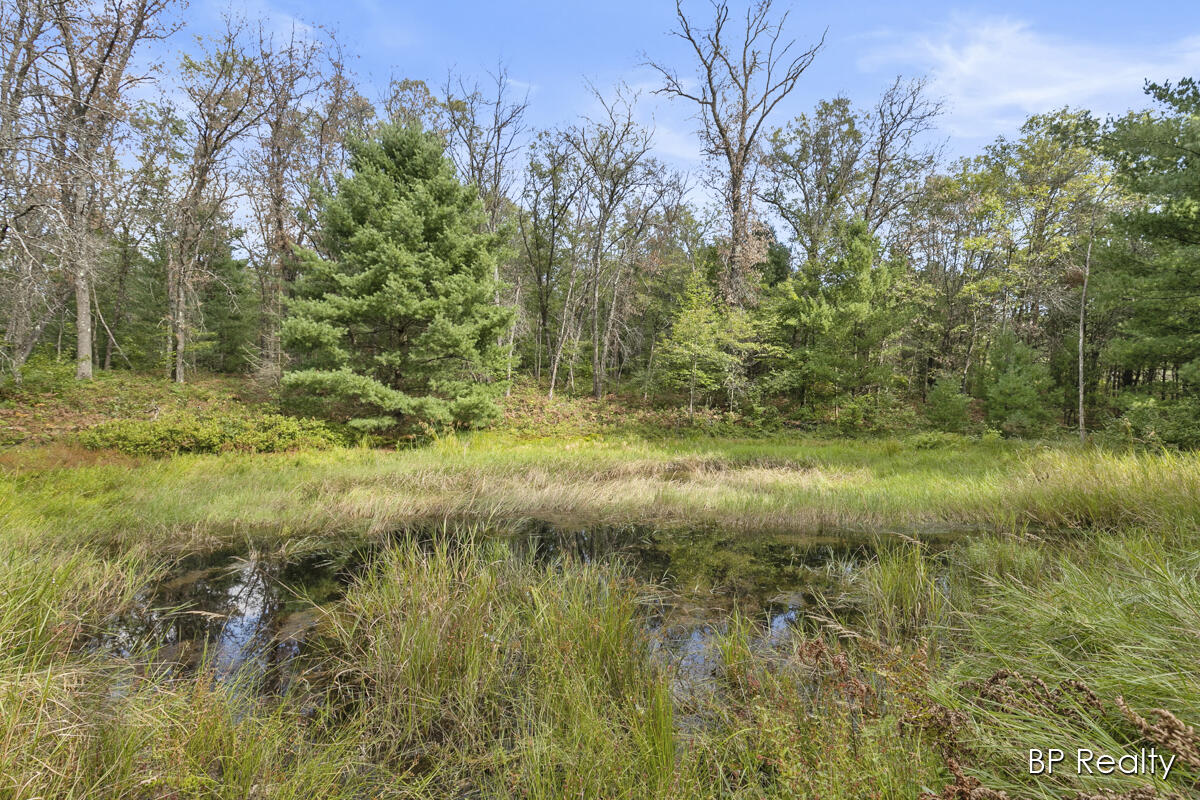 5669 East Baseline Road White Cloud, MI 49349 - Photo 39 of 54 IMG_1036