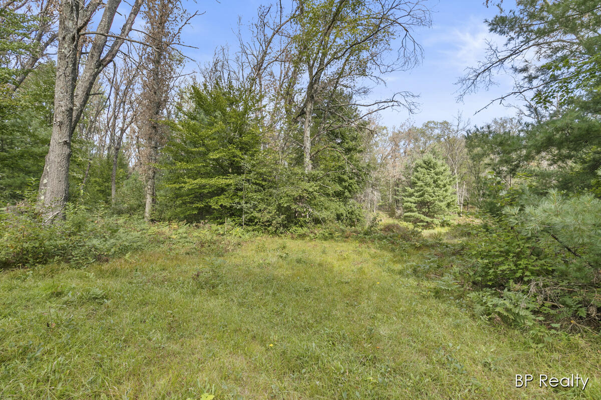 5669 East Baseline Road White Cloud, MI 49349 - Photo 40 of 54 IMG_1037