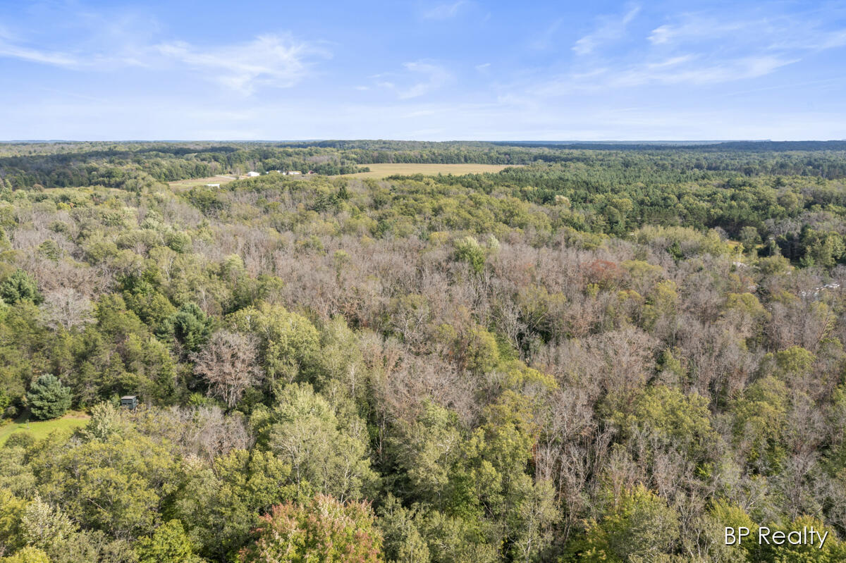 5669 East Baseline Road White Cloud, MI 49349 - Photo 50 of 54 IMG_1047