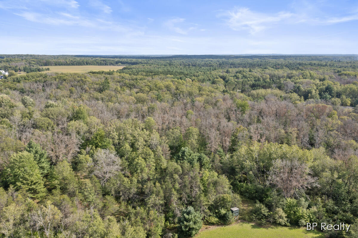 5669 East Baseline Road White Cloud, MI 49349 - Photo 51 of 54 IMG_1048