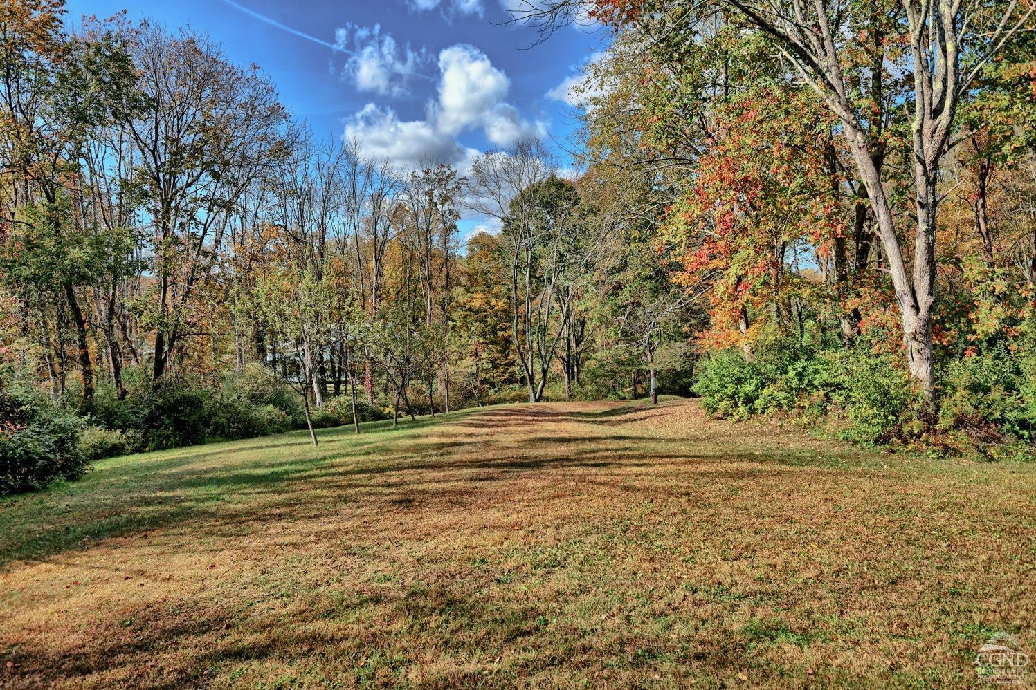 496 New Forge Road Ancram, NY 12502 - Photo 25 of 87 a view of a field with trees in the background