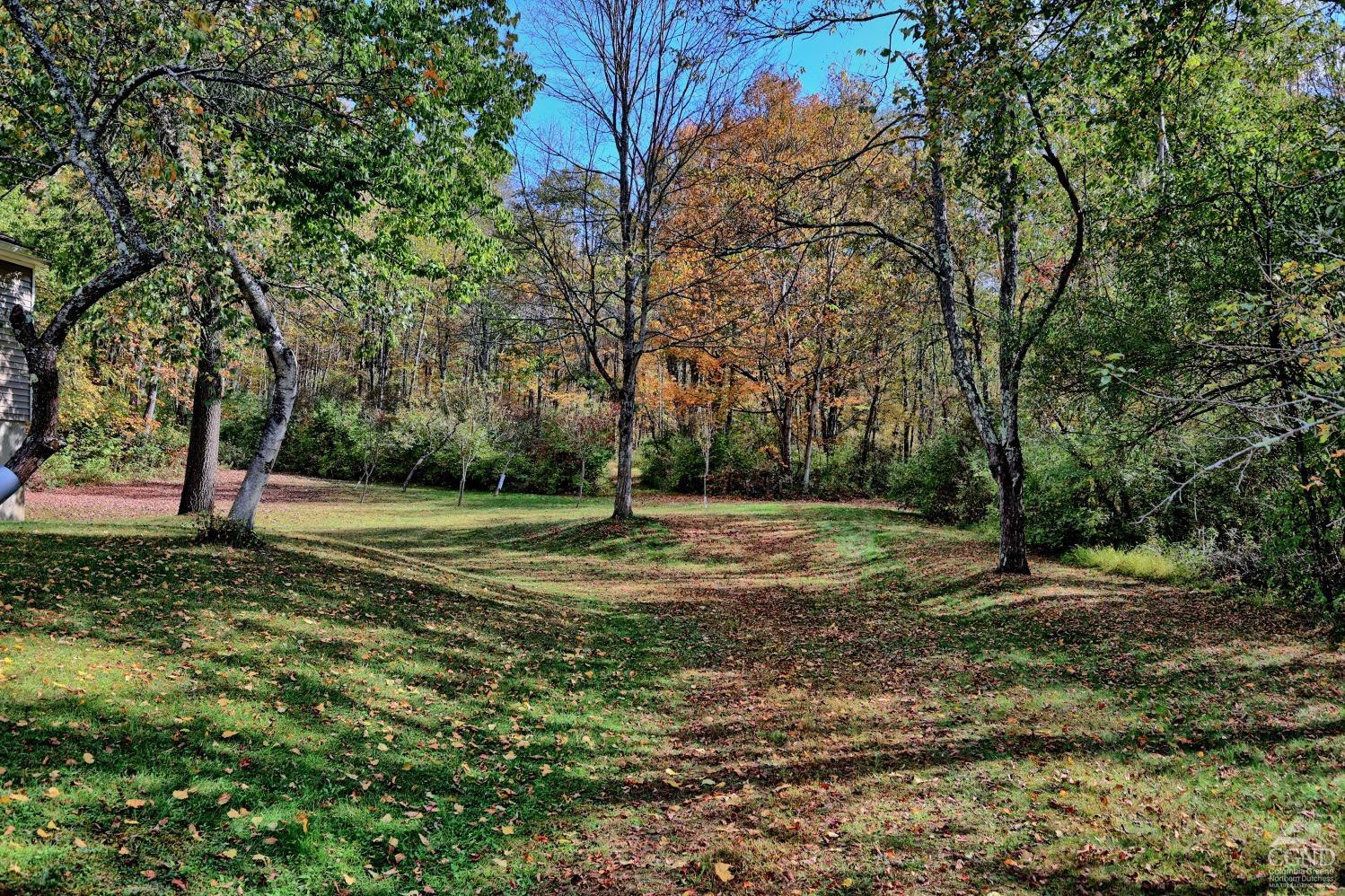 496 New Forge Road Ancram, NY 12502 - Photo 26 of 87 a view of backyard with green space