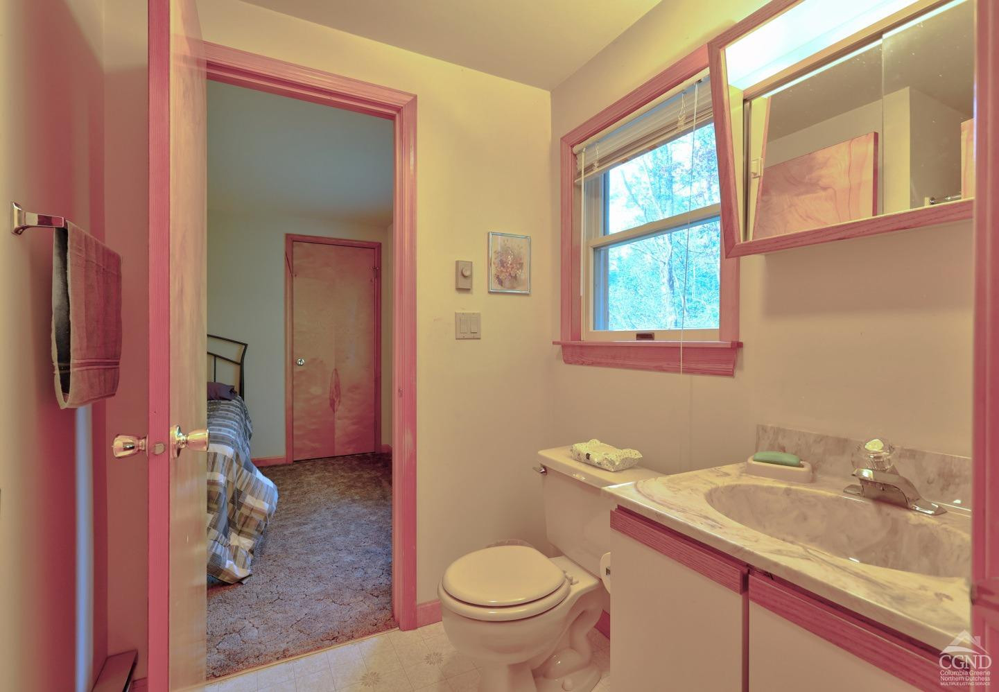 496 New Forge Road Ancram, NY 12502 - Photo 50 of 87 a bathroom with a granite countertop toilet a sink and a window