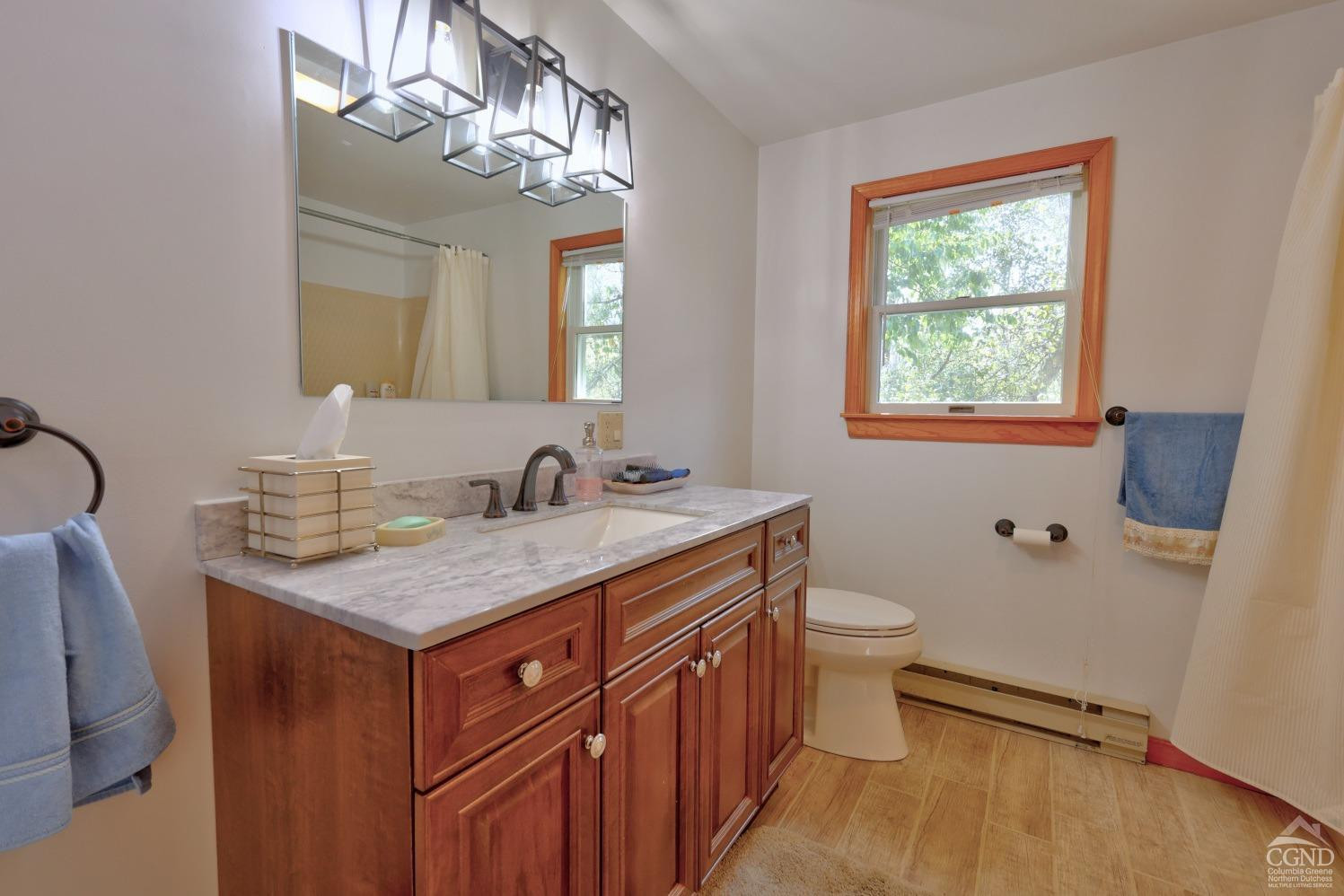 496 New Forge Road Ancram, NY 12502 - Photo 54 of 87 a bathroom with a granite countertop sink a toilet and a mirror