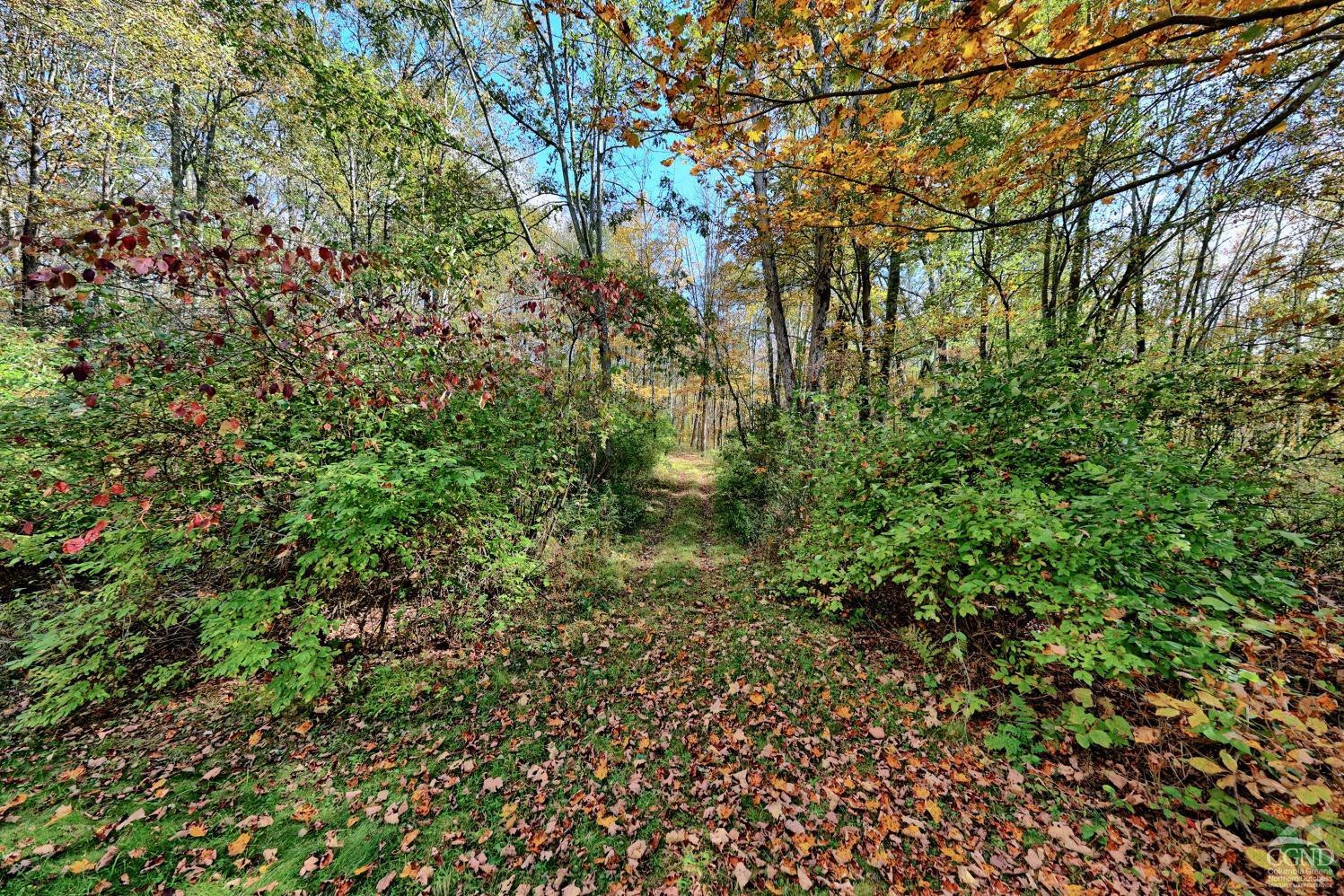 496 New Forge Road Ancram, NY 12502 - Photo 79 of 87 a view of a yard