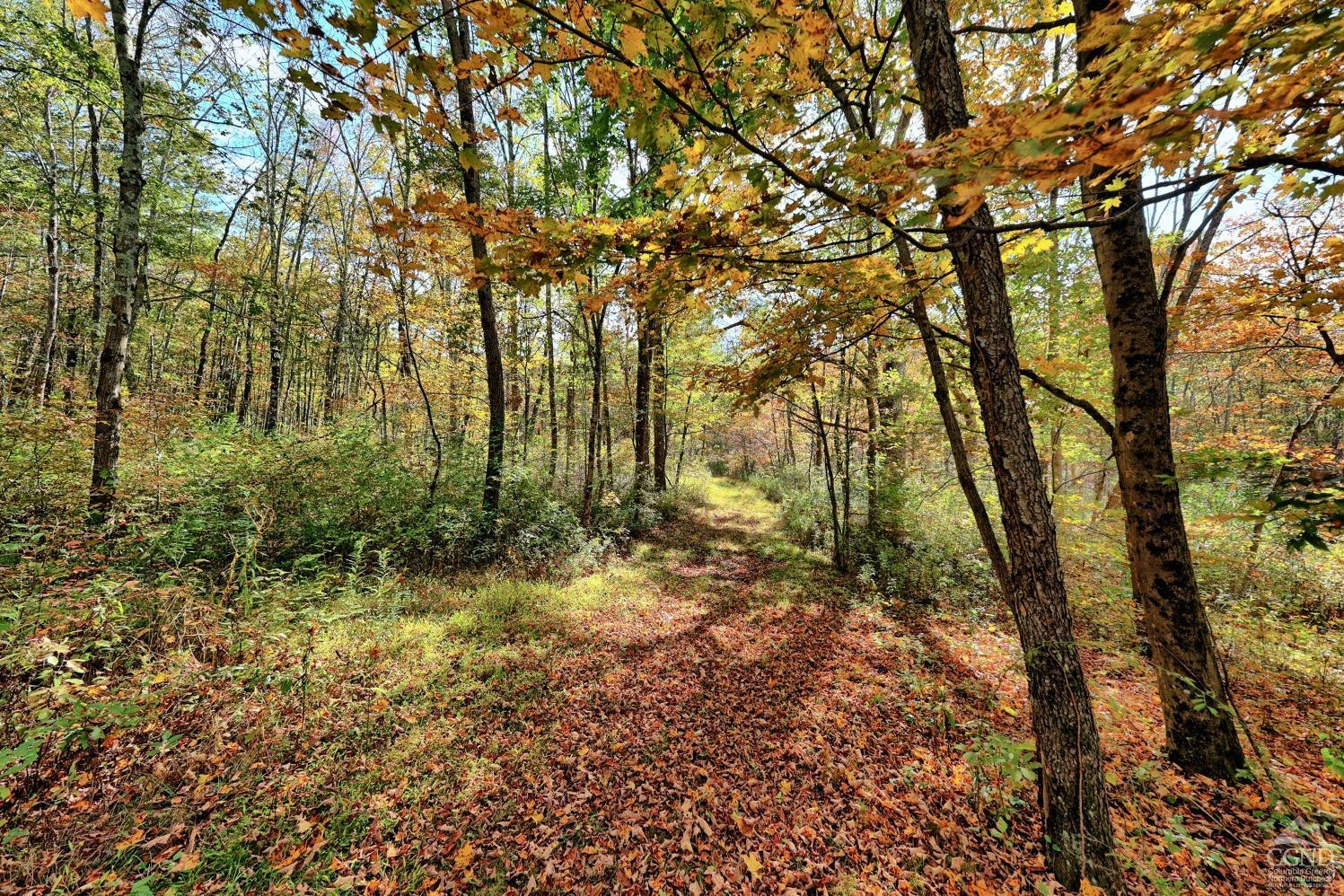 496 New Forge Road Ancram, NY 12502 - Photo 80 of 87 Photo 80