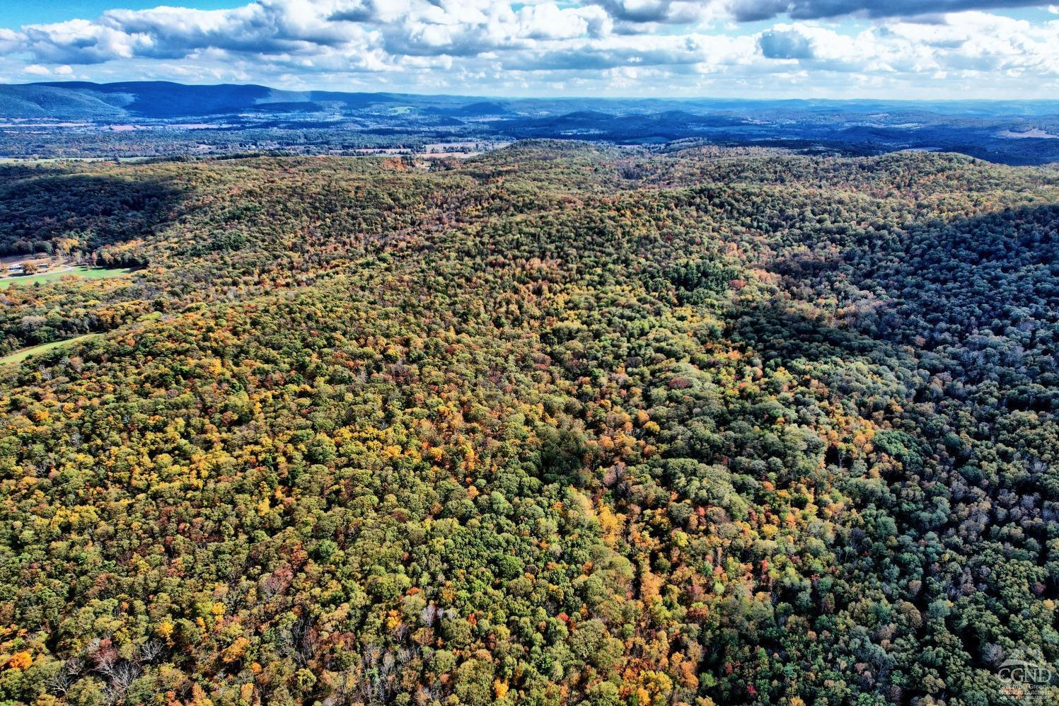 496 New Forge Road Ancram, NY 12502 - Photo 87 of 87 a view of a large body of water with lots of trees