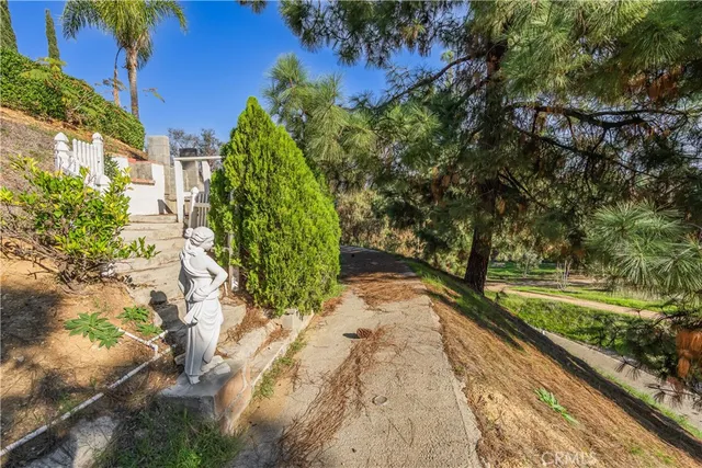 a view of a yard with plants and large trees