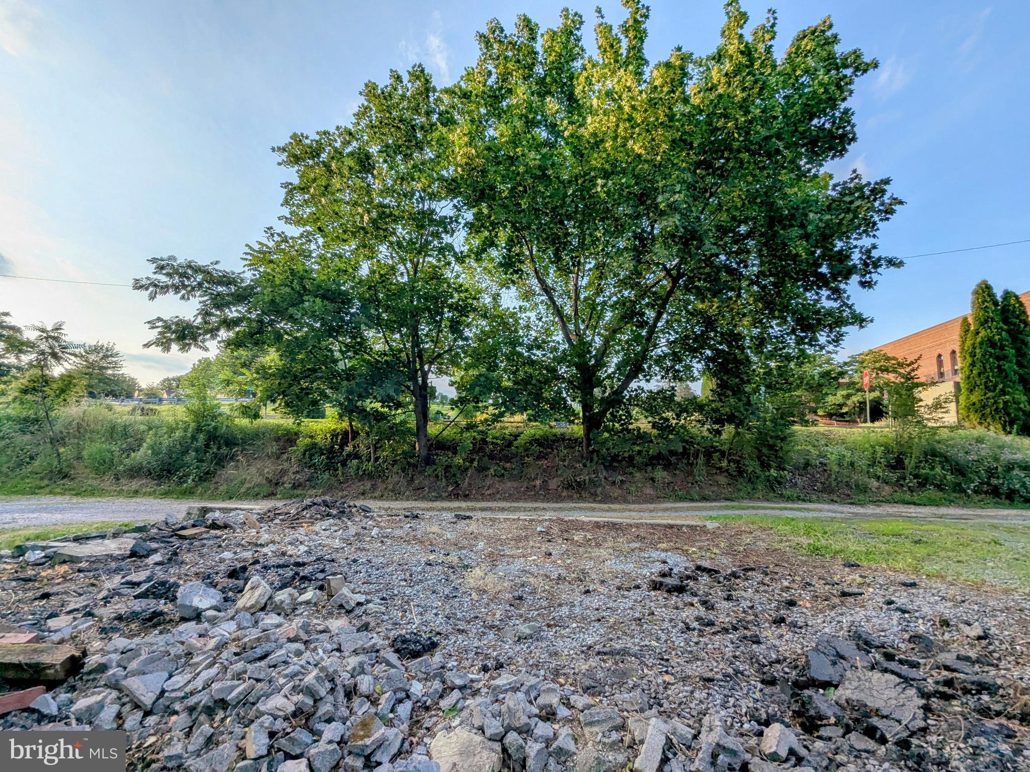 4133 Penn Avenue Sinking Spring, PA 19608 - Photo 50 of 53 a view of a field with plants and trees