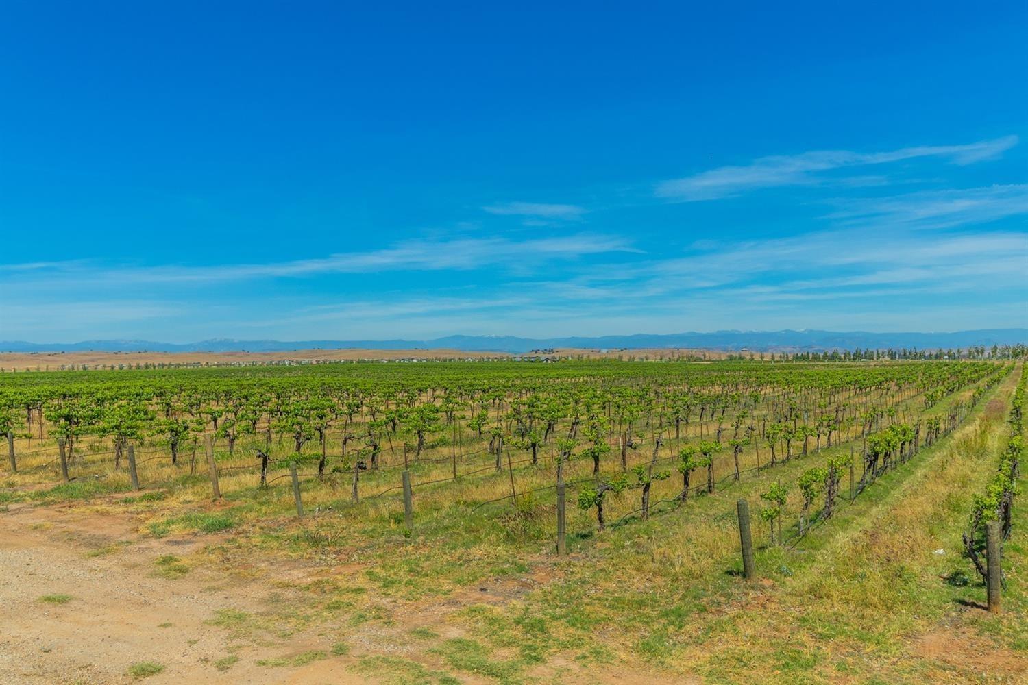 4633 Twin Oaks Road Madera, CA 93636 - Photo 39 of 49 Gallery Image 39