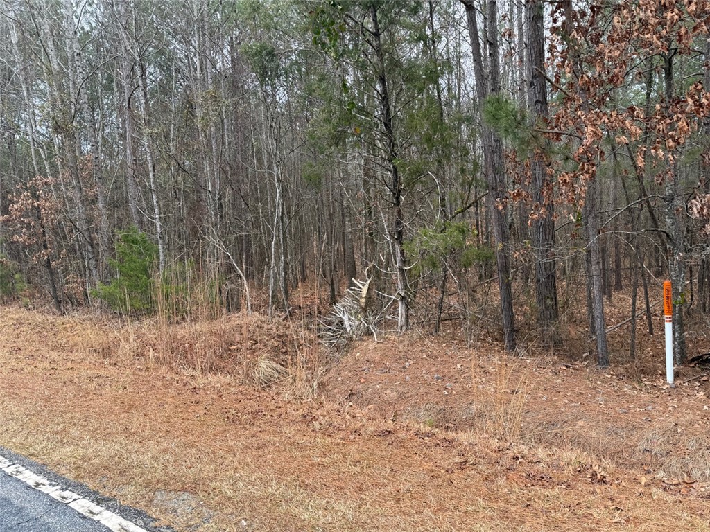0 Mt Carmel Road Abbeville, SC 29620 - Photo 5 of 14 Gallery Image 5