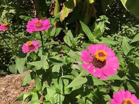 228 Olive Branch Road Durham, NC 27703 - Photo 27 of 69 11