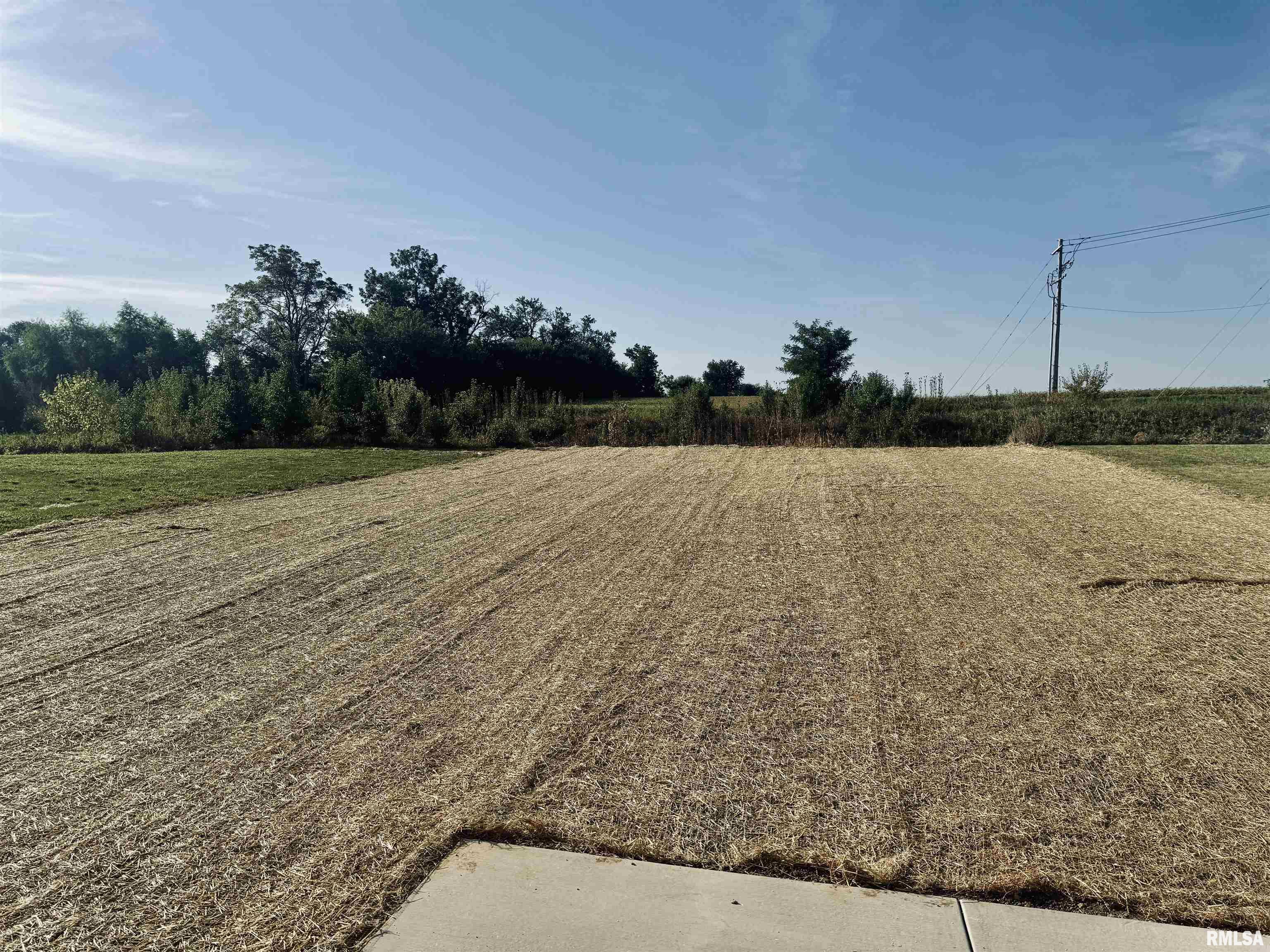 3826 West Fiona Way Dunlap, IL 61525 - Photo 2 of 48