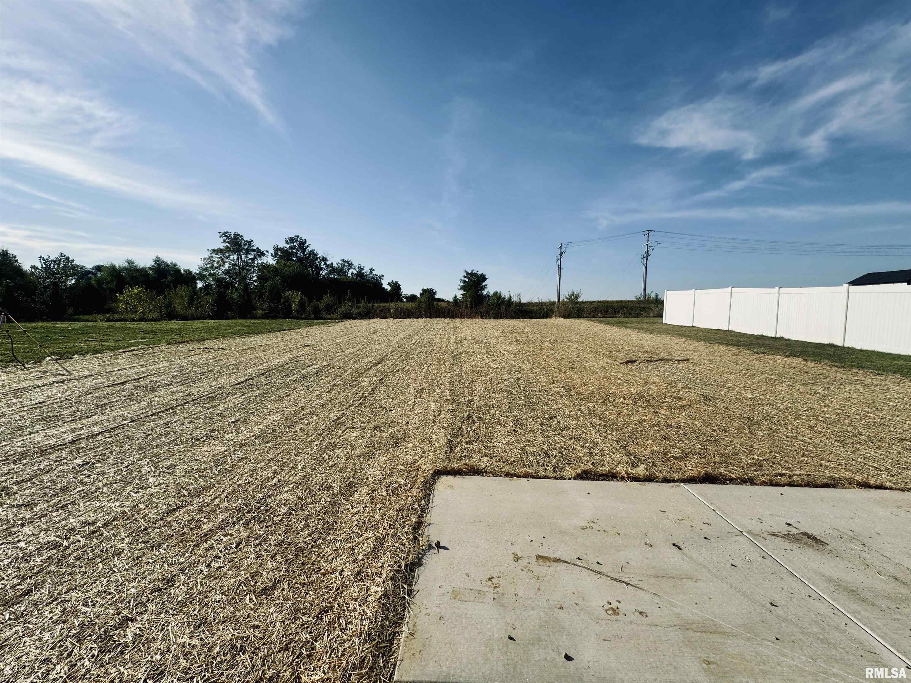 3826 West Fiona Way Dunlap, IL 61525 - Photo 3 of 48