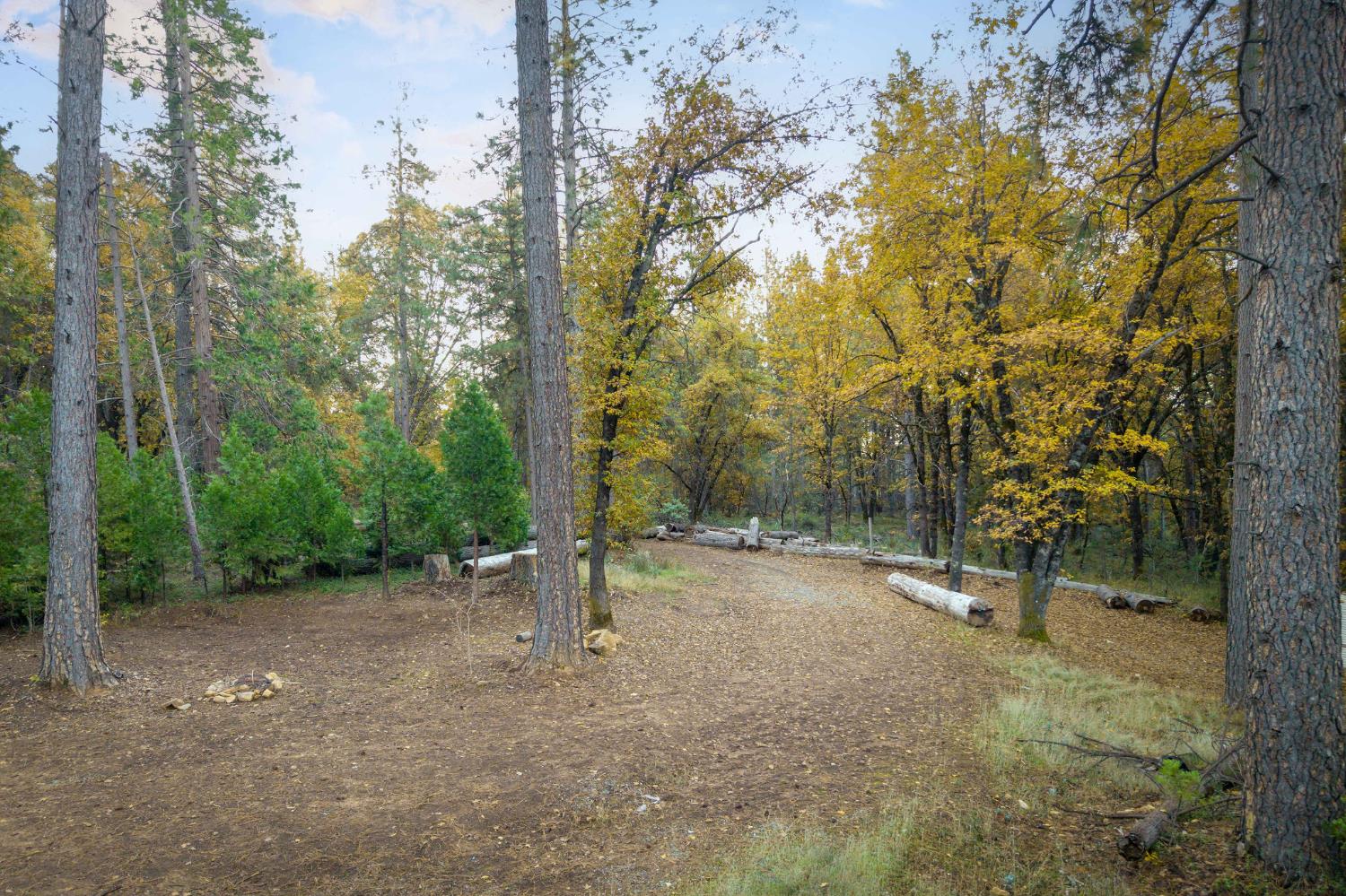 10376 Smith Road Grass Valley, CA 95949 - Photo 11 of 38