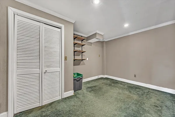 a view of big yard with large trees