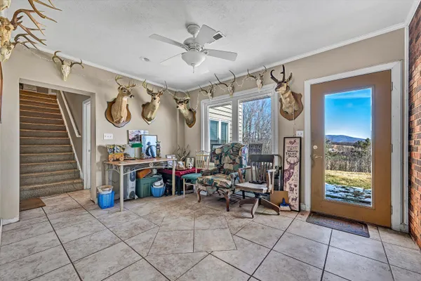 a view of a house with a small yard and large tree