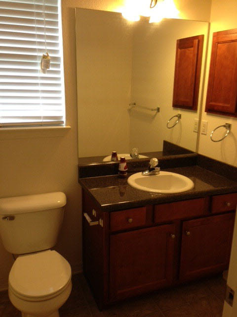 16227 Mansion Street Foley, AL 36535 - Photo 6 of 8 Guest Bathroom