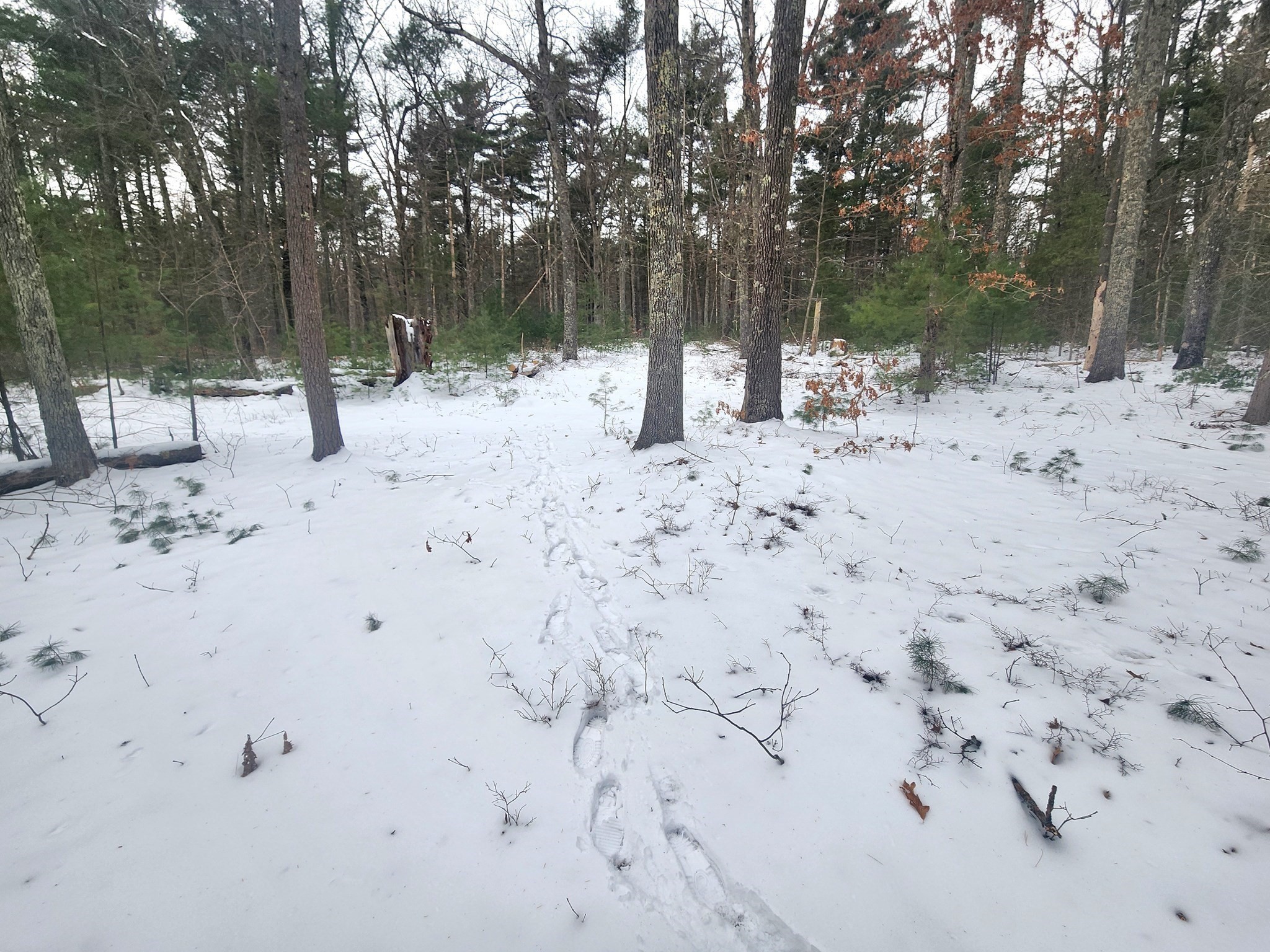 12 A Bumstead Road Monson, MA 01057 - Photo 4 of 13 Gallery Image 4