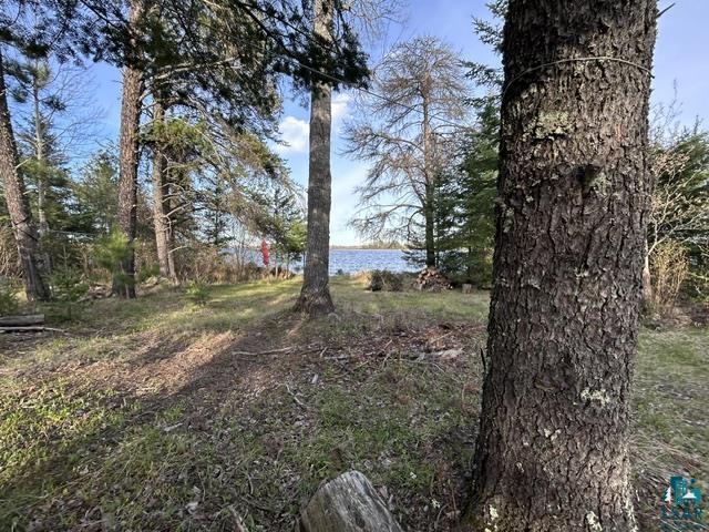 Tbd Tbd Moonlit Island Makinen, MN 55763 - Photo 16 of 23