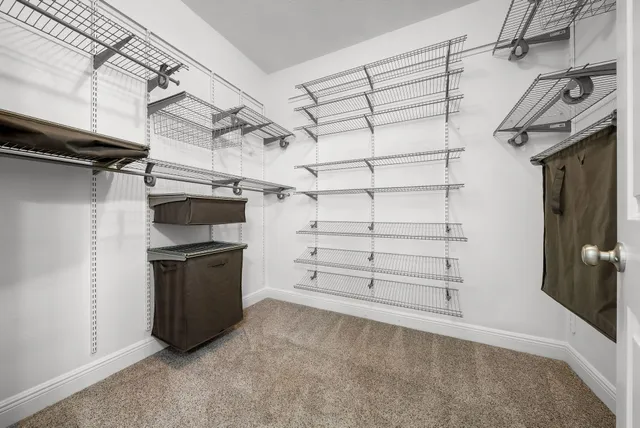 a view of a garden with an outdoor space