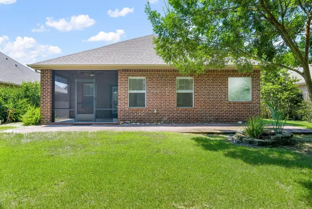 a view of a garden with plants and large trees