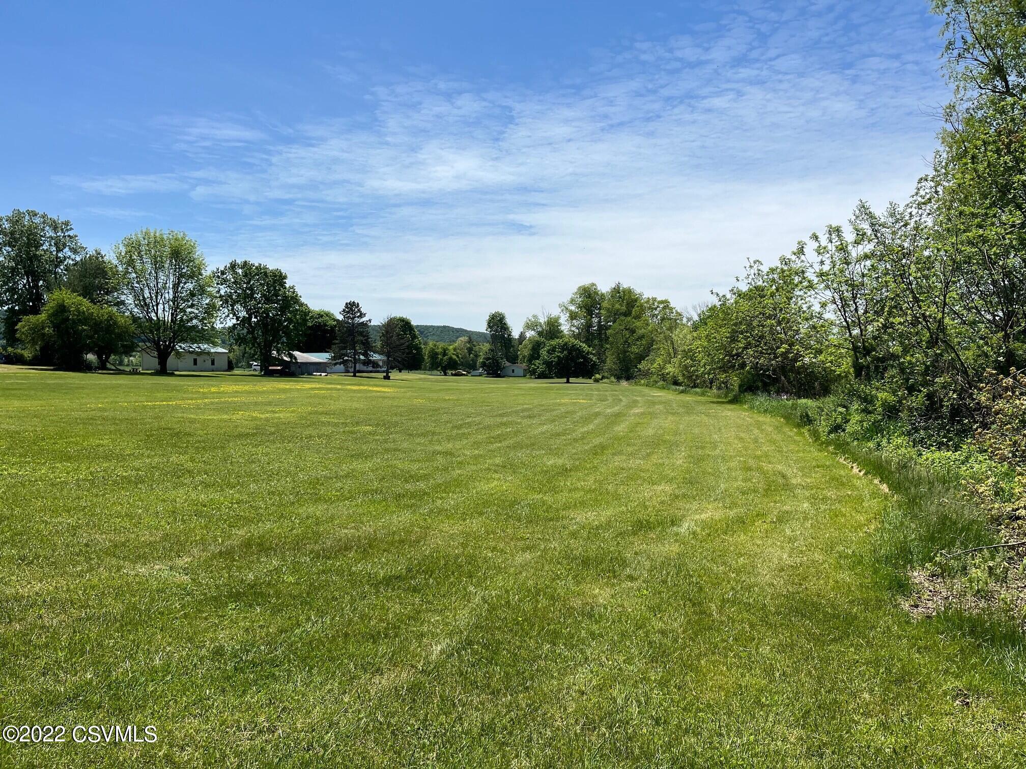 Lot 1 Old State Road Orangeville, PA 17859 - Photo 3 of 7