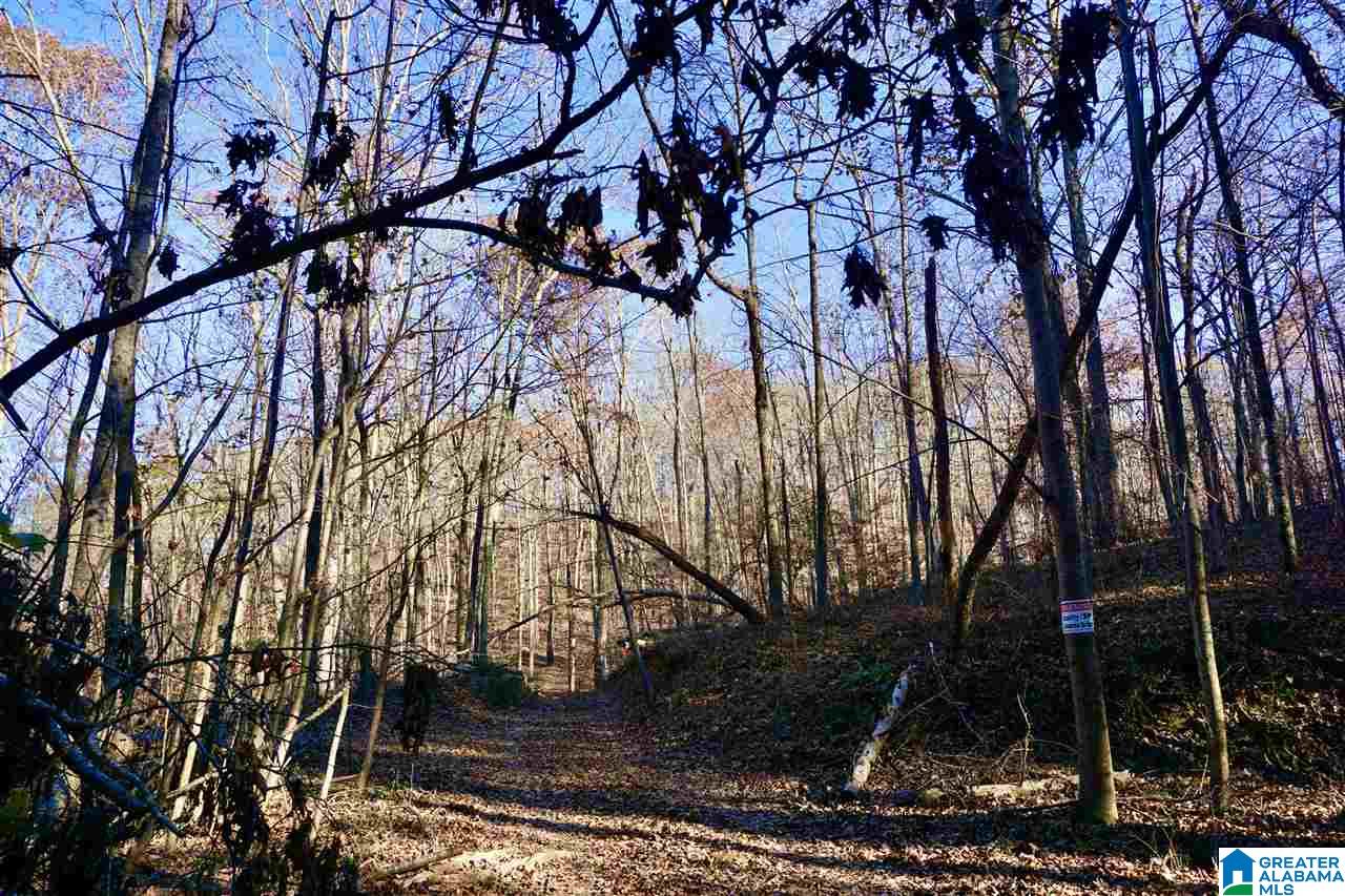 0 Whites Gap Road Jacksonville, AL 36265 - Photo 17 of 31