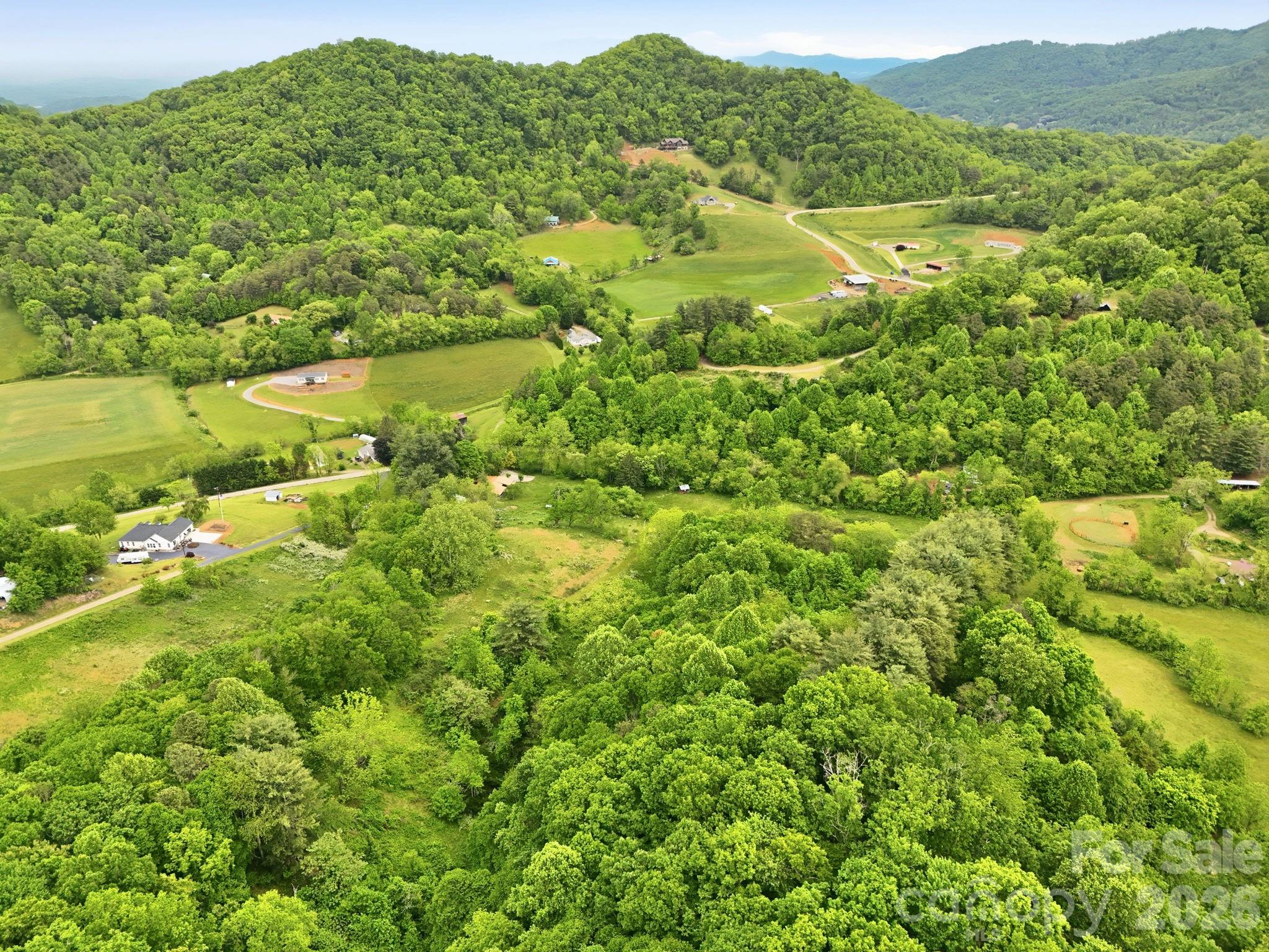 250 Potato Branch Road Leicester, NC 28748 - Photo 47 of 48