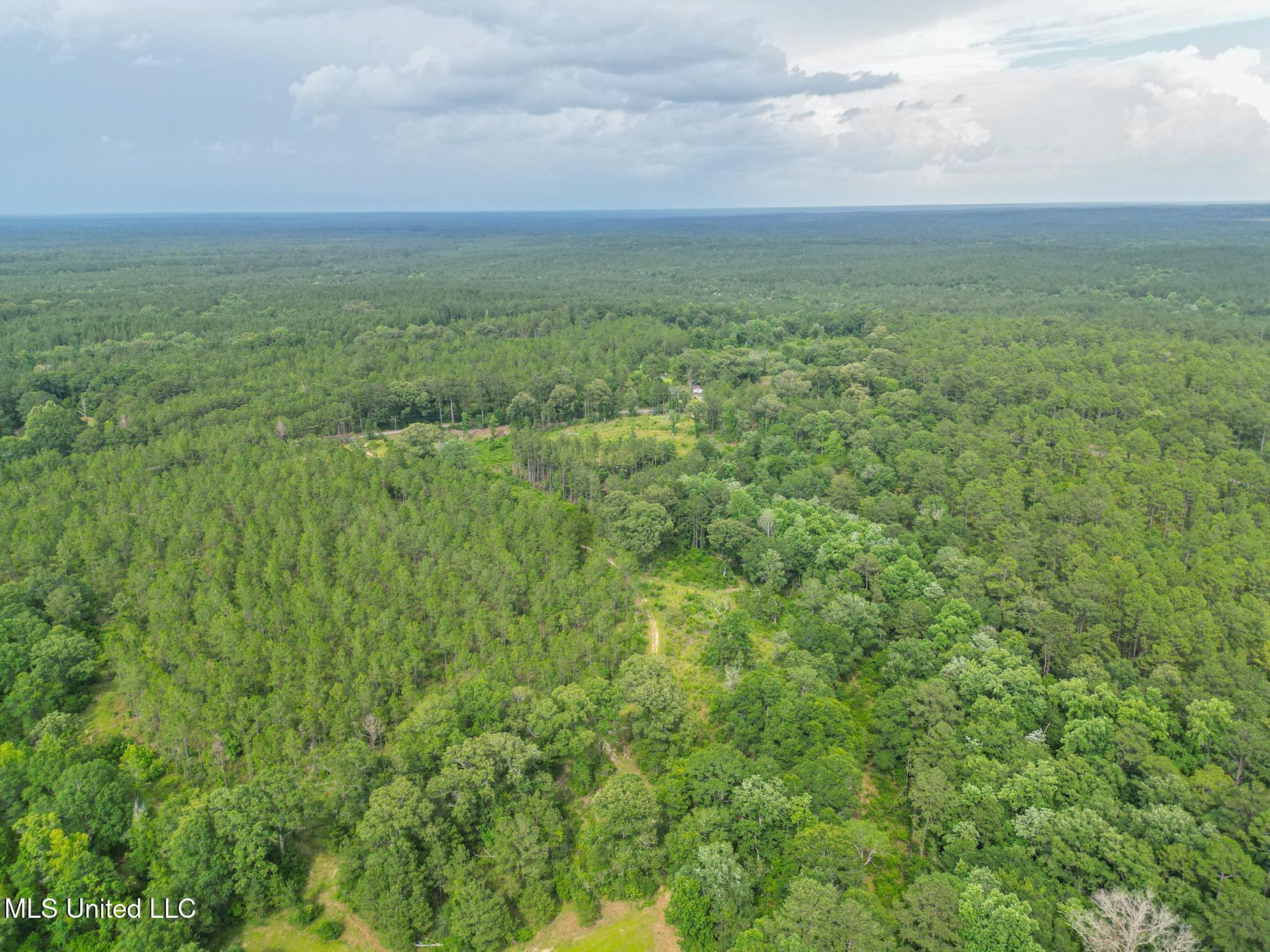 212 Tower Road Wiggins, MS 39577 - Photo 2 of 4 Aerial
