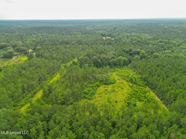 $224,054 | 212 Tower Road, Wiggins, MS 39577