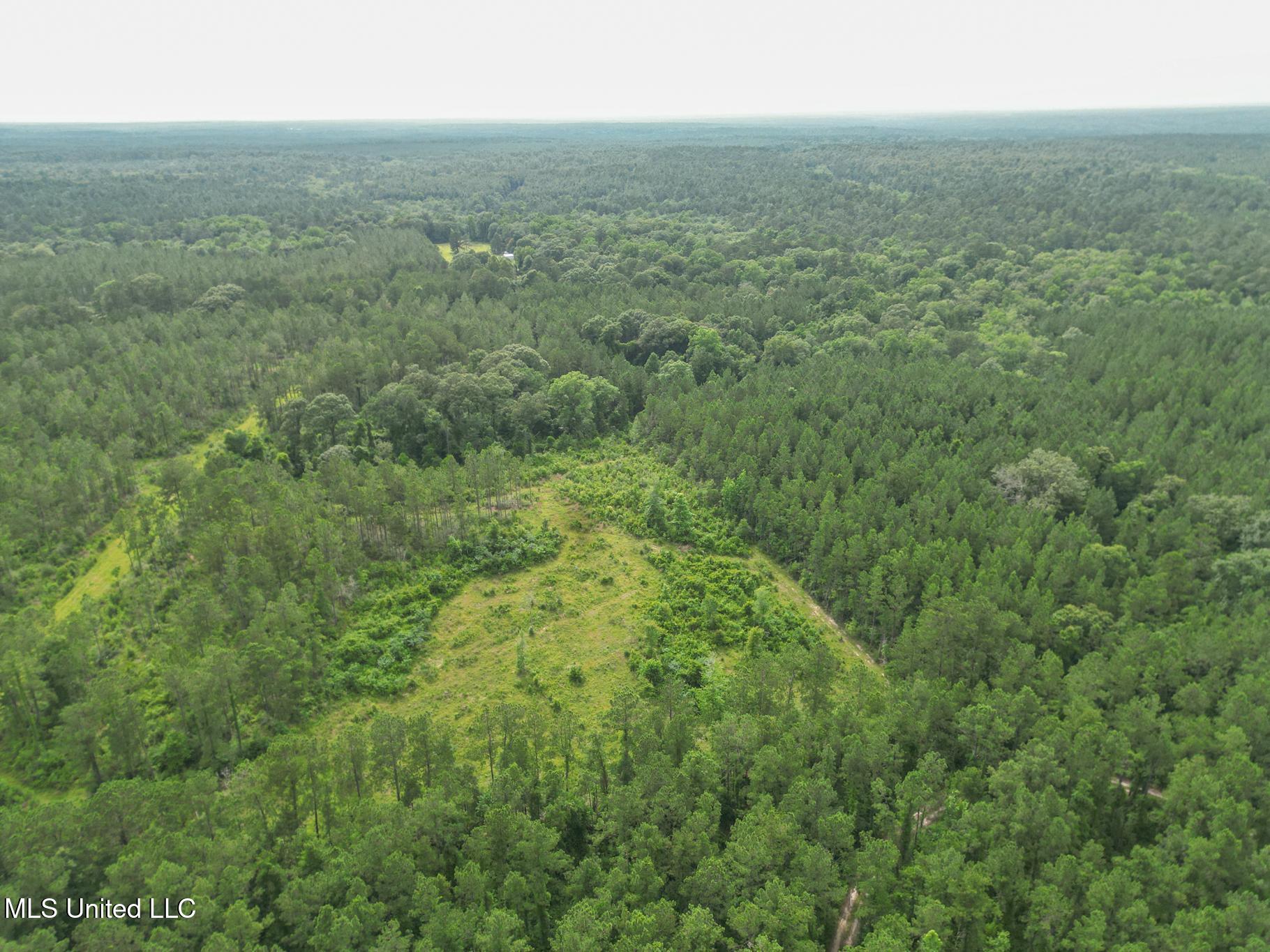 212 Tower Road Wiggins, MS 39577 - Photo 4 of 4 Tower-7
