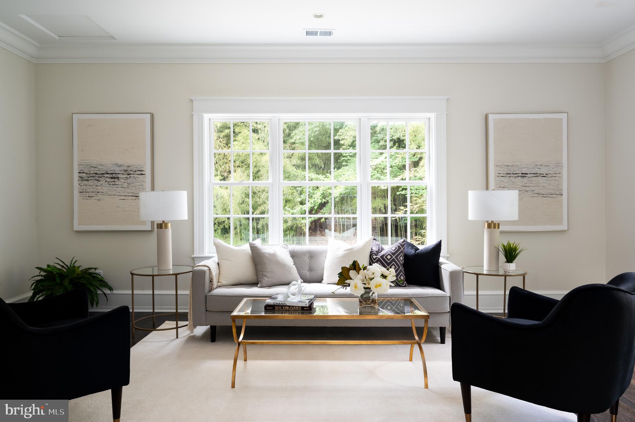 2913 University Terrace Northwest Washington, DC 20016 - Photo 10 of 46 a living room with furniture and a potted plant