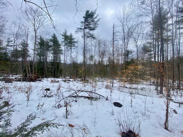 1186 Middle Road Parsonsfield, ME 04047 - Photo 3 of 10 IMG_4861