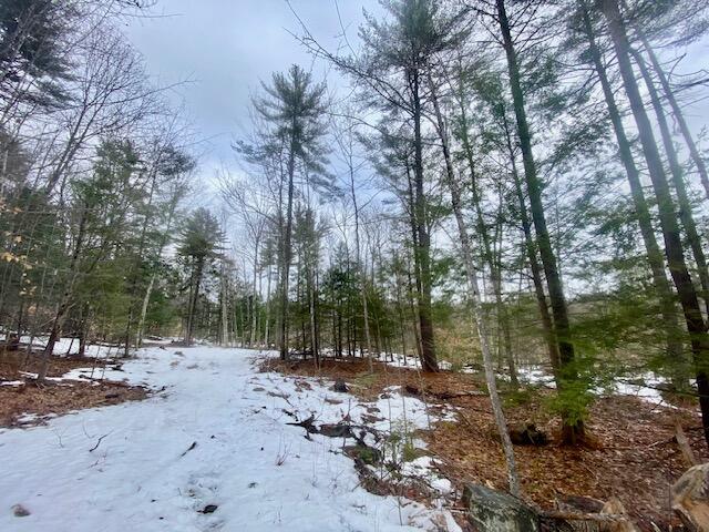 1186 Middle Road Parsonsfield, ME 04047 - Photo 4 of 10 IMG_4862