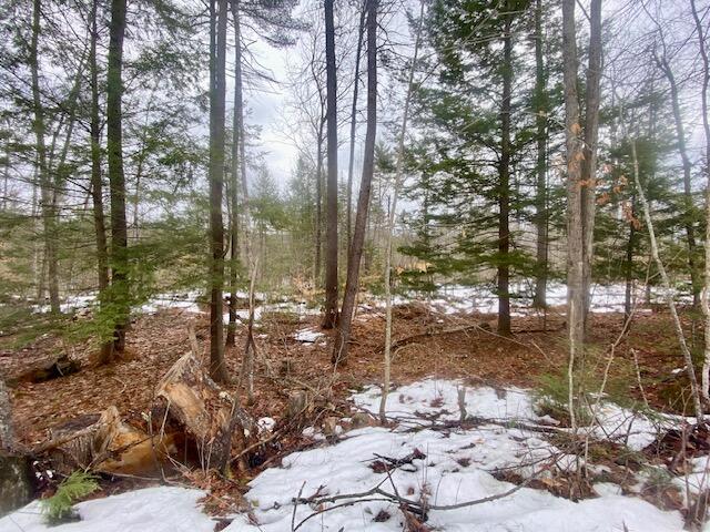 1186 Middle Road Parsonsfield, ME 04047 - Photo 5 of 10 IMG_4863
