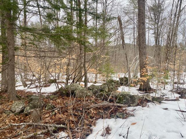 1186 Middle Road Parsonsfield, ME 04047 - Photo 6 of 10 IMG_4866