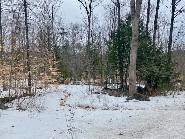 1186 Middle Road Parsonsfield, ME 04047 - Photo 7 of 10 IMG_4867